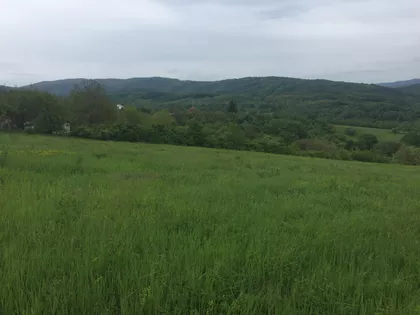 Baljkovac | 4zida.rs