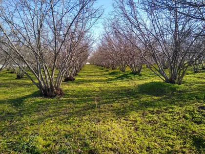 Senćanski Put | 4zida.rs