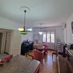 Kej, Stari Grad, Gradske lokacije, Novi Sad | 4zida.rs | 4zida.rs