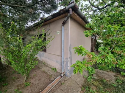 Pačir | 4zida.rs