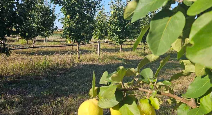 Poljoprivredno zemljište | 4zida