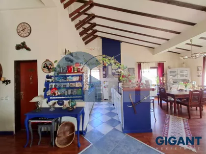 Kneginje Zorke | 4zida.rs