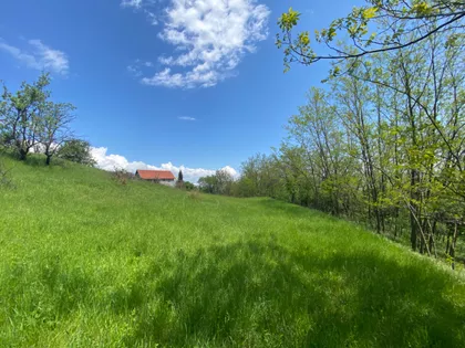 Đure Daničića bb | 4zida.rs