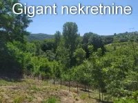 Palilula, Gradske lokacije, Niš | 4zida.rs | 4zida.rs