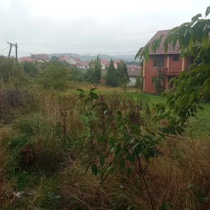 Kraljevačkog bataljona | 4zida.rs