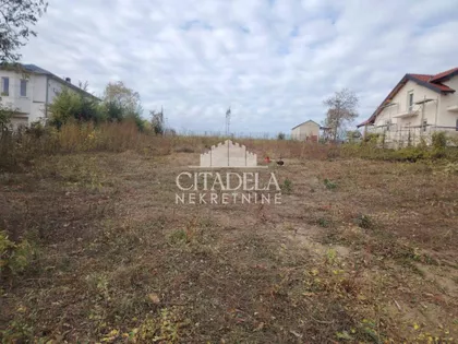 Stara lipovica | 4zida.rs
