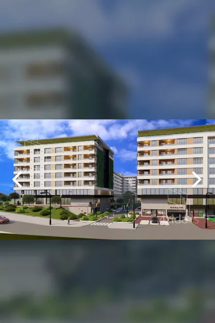 Miodraga Vlajića Šuke | 4zida.rs