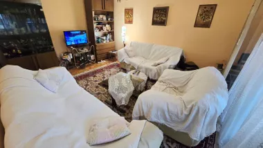 Sretena Mladenovića Mike