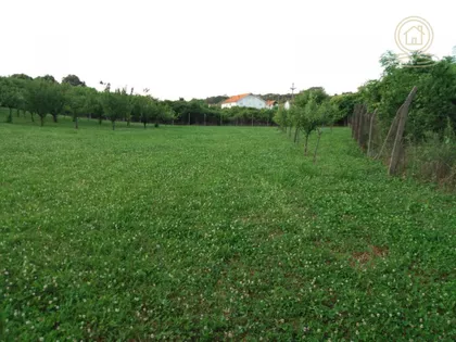 Mladenovac (mesto) | 4zida.rs