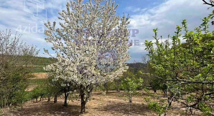 Poljoprivredno zemljište | 4zida