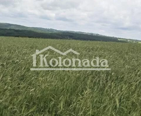 Poljoprivredno zemljište | 4zida