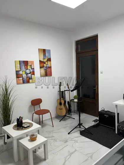 Milana Blagojevića | 4zida.rs