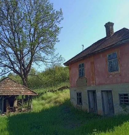 Badnjevac | 4zida.rs