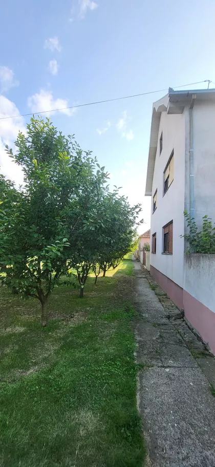 Sime Šolaje | 4zida.rs