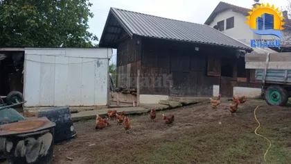 Slobodana Penezića Krcuna | 4zida.rs