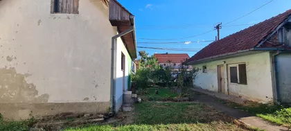 Milka Protić | 4zida.rs