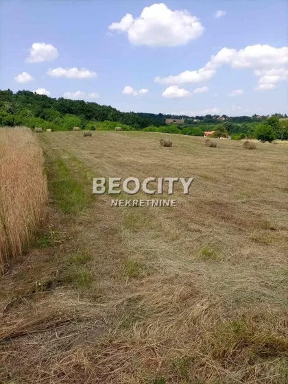 Zmaj Jovina | 4zida.rs