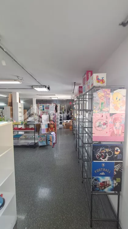 Salvadora Aljendea | 4zida.rs