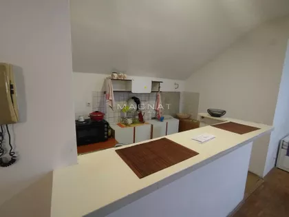 Dr Ivana Ribara | 4zida.rs