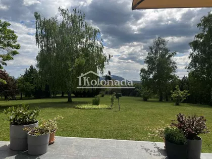 Popović | 4zida.rs