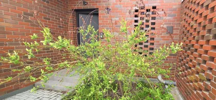 Petrovaradin | 4zida.rs