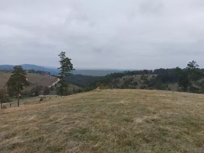 Šainovci | 4zida.rs