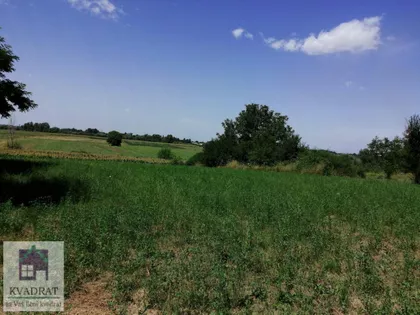 Zvečka | 4zida.rs