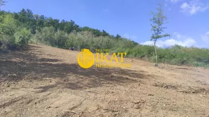 Kosmajski Put | 4zida.rs