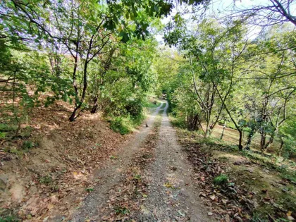 Okolne lokacije | 4zida.rs