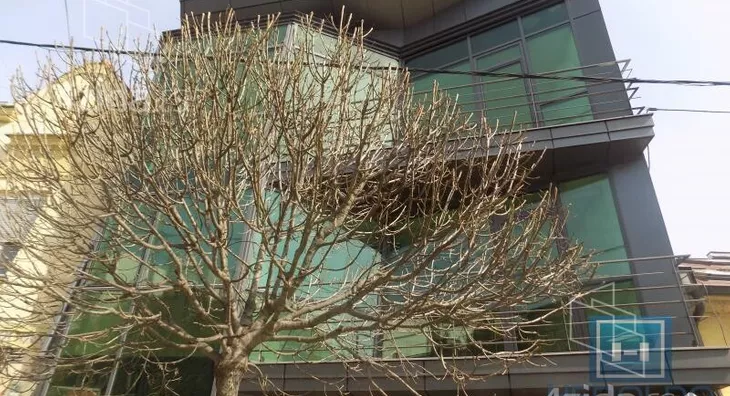 Poslovna zgrada | 4zida