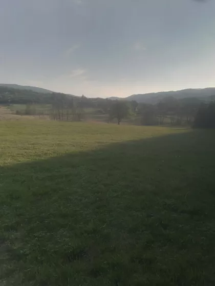 Tarska | 4zida.rs