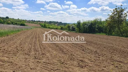 Milorada Markovića Miće | 4zida.rs