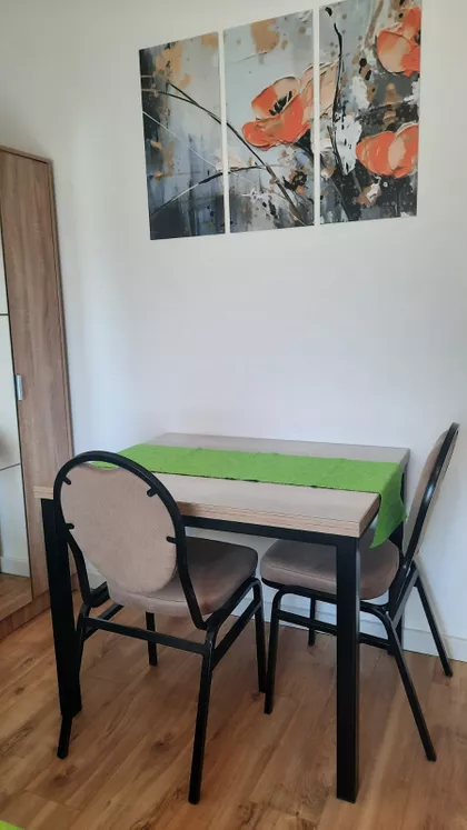 Vase Ostojića | 4zida.rs