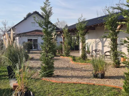 Dobanovci | 4zida.rs