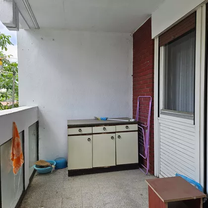 Blagoja Jovovića | 4zida.rs