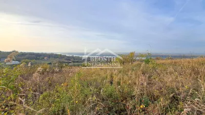 Višnjica | 4zida.rs