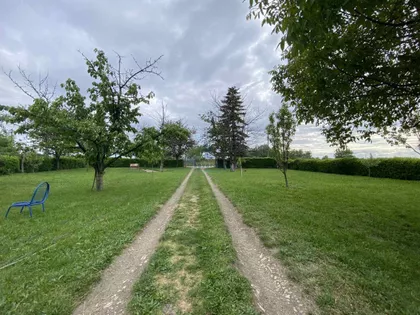 Borča | 4zida.rs
