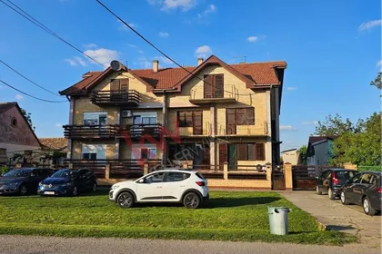 Petra Drapšina | 4zida.rs