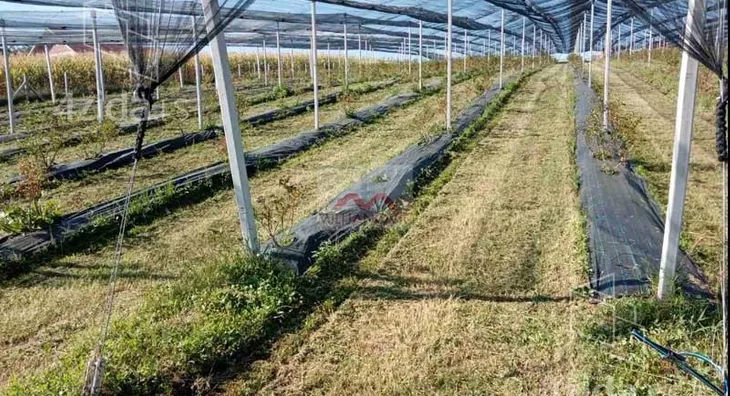 Građevinsko zemljište | 4zida