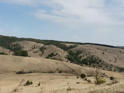 Tometino Polje Bb | 4zida.rs