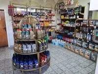Lokal | 4zida