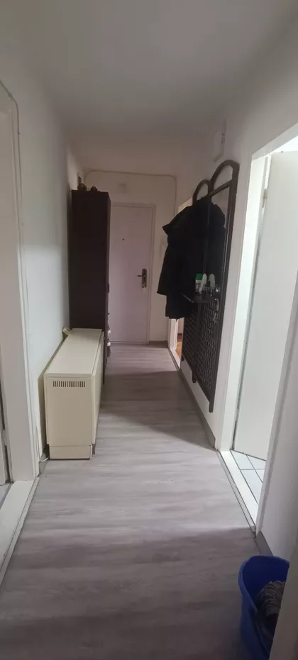 Koste Abraševića 4 | 4zida.rs