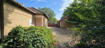 Pačir | 4zida.rs