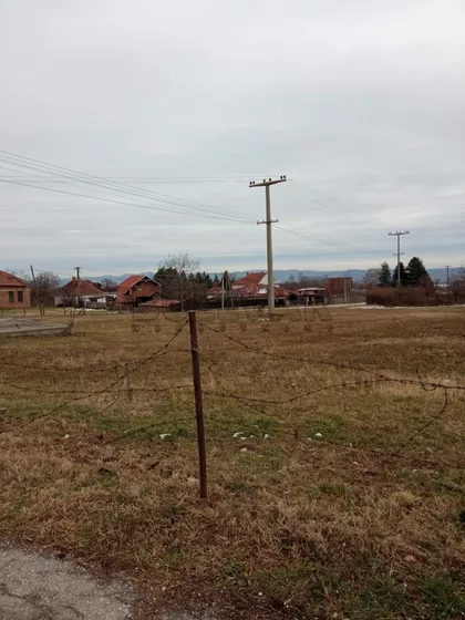 Dračka | 4zida.rs