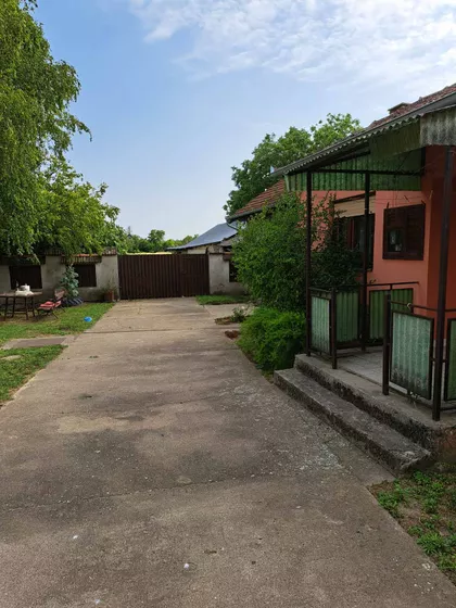 Ružina | 4zida.rs