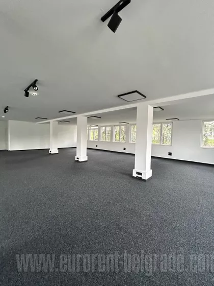 HALA PIONIR | 4zida.rs