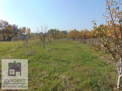 Draževac | 4zida.rs