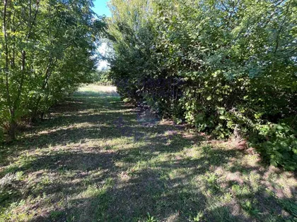 Međunarodni Put | 4zida.rs