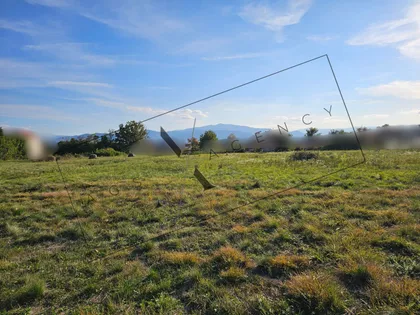 Jarčujak | 4zida.rs