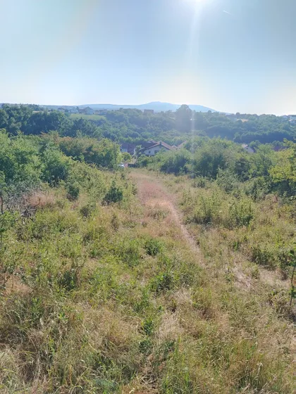 Šarplaninska Bb | 4zida.rs